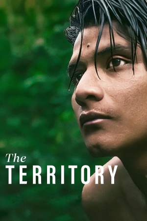The Territory